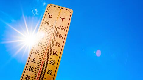 Canicule